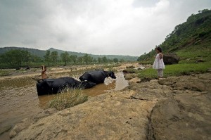 My Cousin Nasir, his daughter and their buffalo